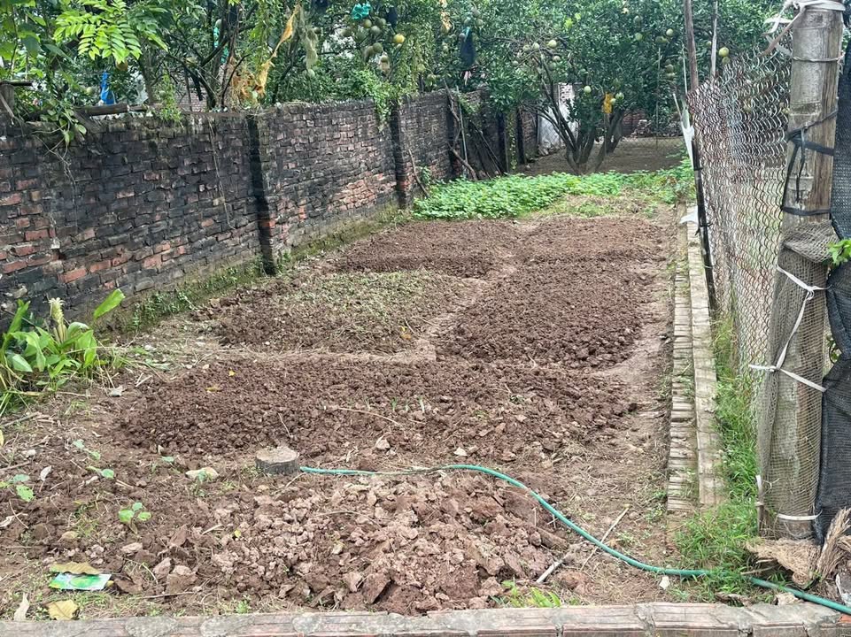 Đất thổ cư xã Tráng Việt, huyện Mê Linh 51m² giá đẹp, chính chủ bán gấp!