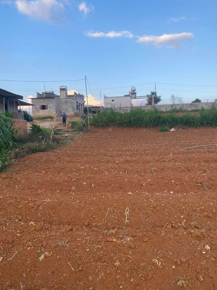 Đất Farm 6,2 sào Quảng Lập, Lâm Đồng giá 3.72 tỷ - Tiềm năng nghỉ dưỡng tuyệt vời!