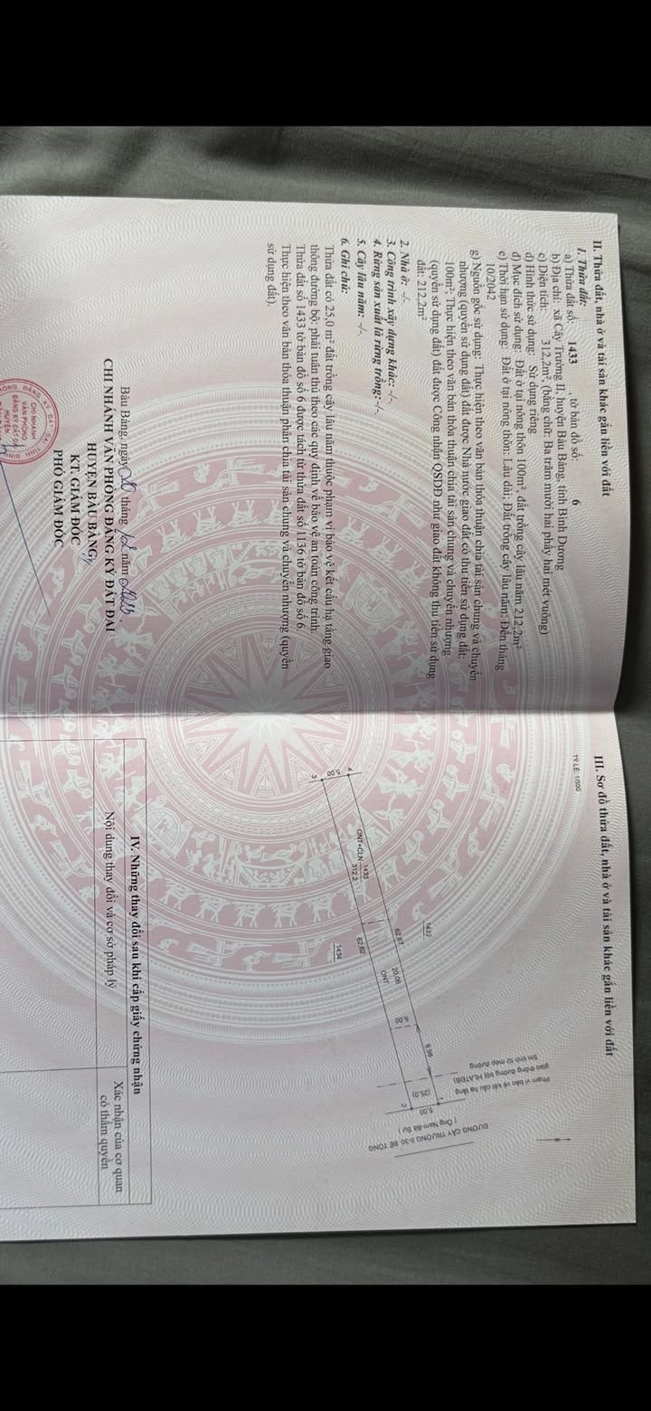 Đất nền Cây Trường II, Bàu Bàng 330m² giá 900 triệu - Cơ hội đầu tư tuyệt vời!