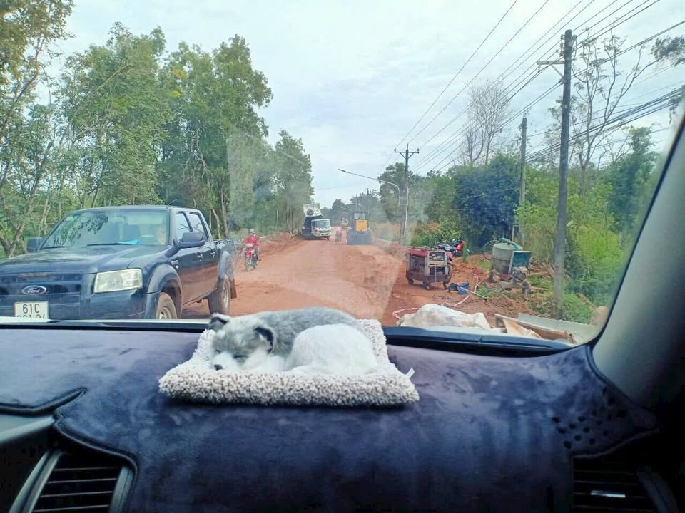 Đất nền 1000m² tại Chánh Phú Hòa, Bến Cát chỉ 1.4 tỷ - Sổ hồng chính chủ!