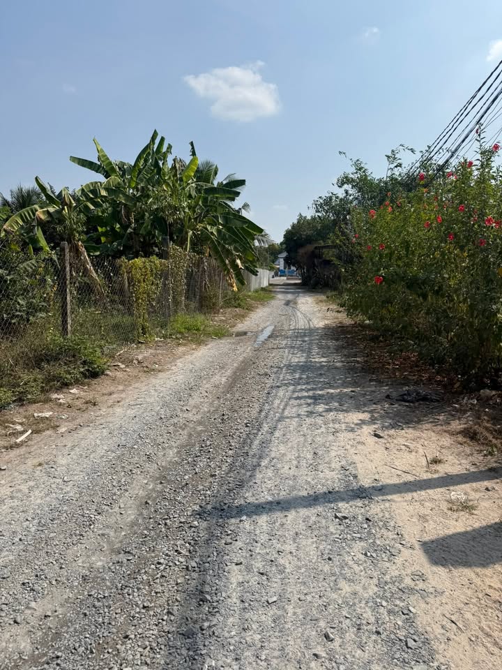 Đất nền Xã Bình Mỹ, Huyện Bắc Tân Uyên 840m² giá chỉ 1 tỷ - Cơ hội đầu tư tuyệt vời!