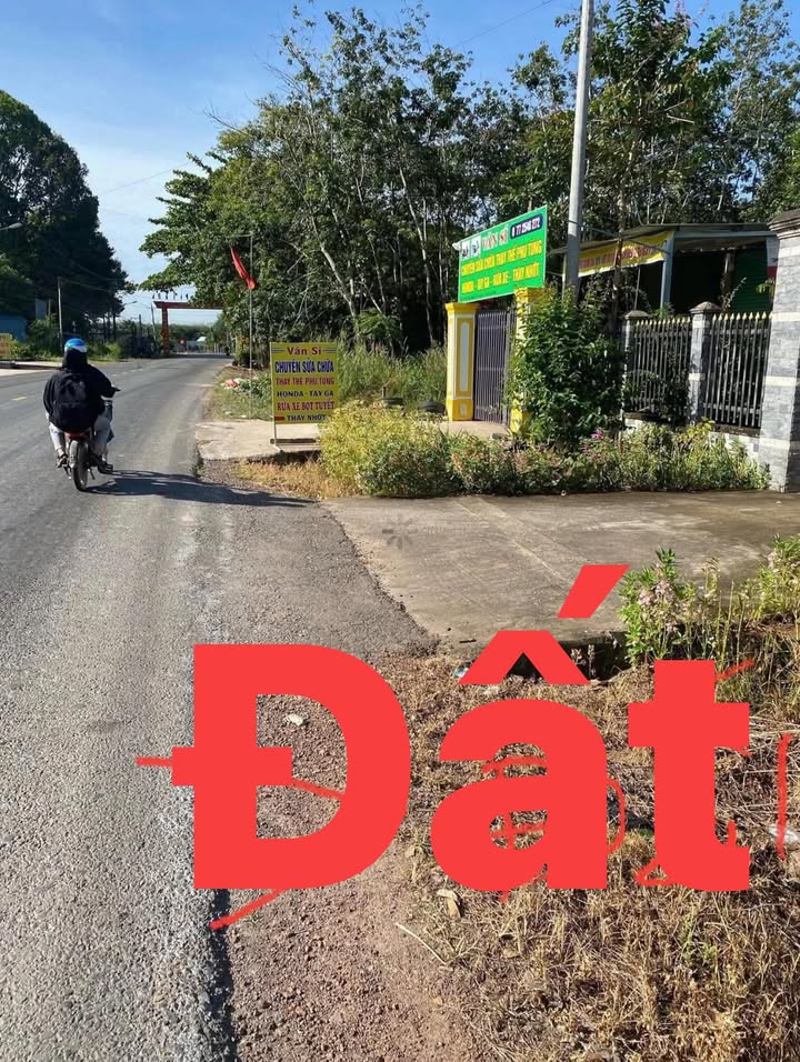 Đất nền đường ĐH507, xã An Linh, 250m² giá 1.2 tỷ - Cơ hội đầu tư tuyệt vời!