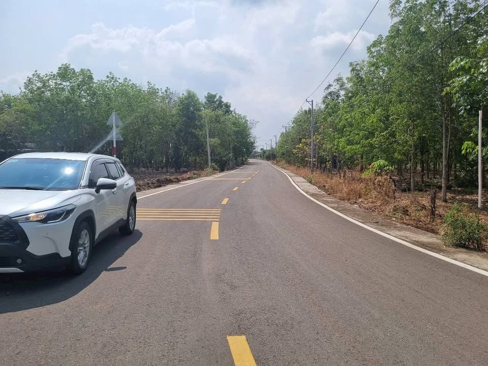 Đất nền sổ đỏ Lộc Phú, Lộc Ninh, 175m² giá chỉ 350 triệu - Cơ hội đầu tư hấp dẫn!