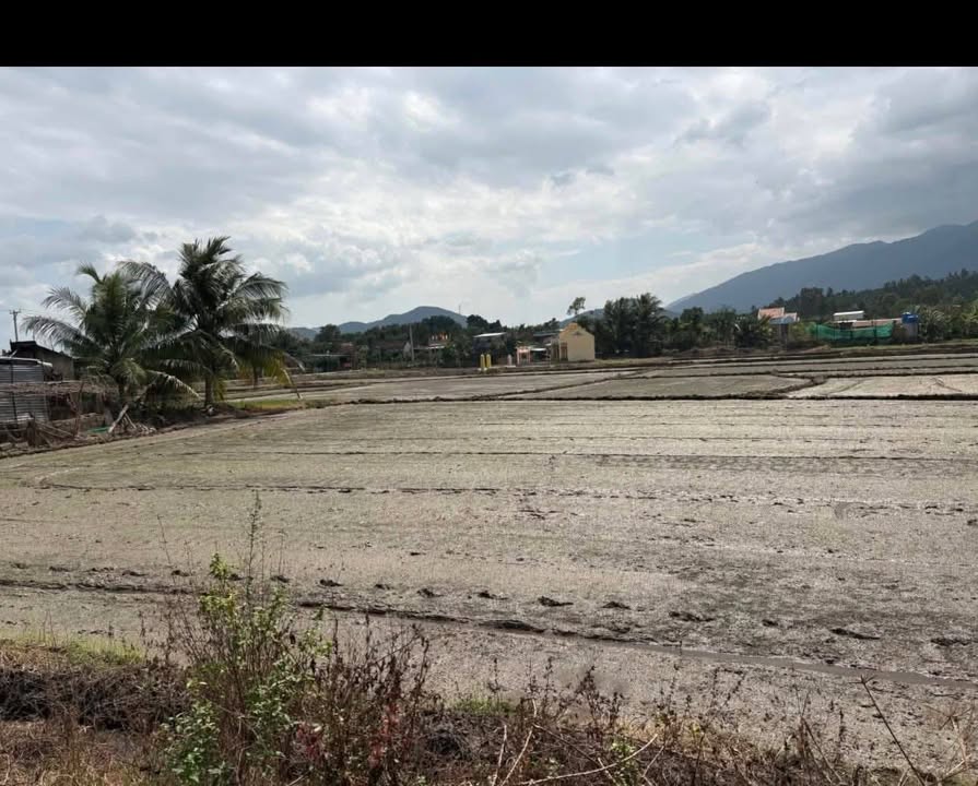 Đất nền Tân Hưng Bắc Giang 2090m² giá 11.34 tỷ - Cơ hội đầu tư hấp dẫn!