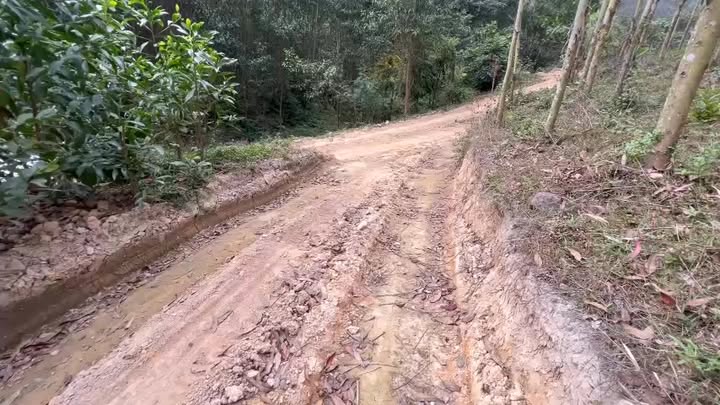 Đất sản xuất 1,5 HA tại Quảng Chu, Chợ Mới - Cơ hội đầu tư hấp dẫn!