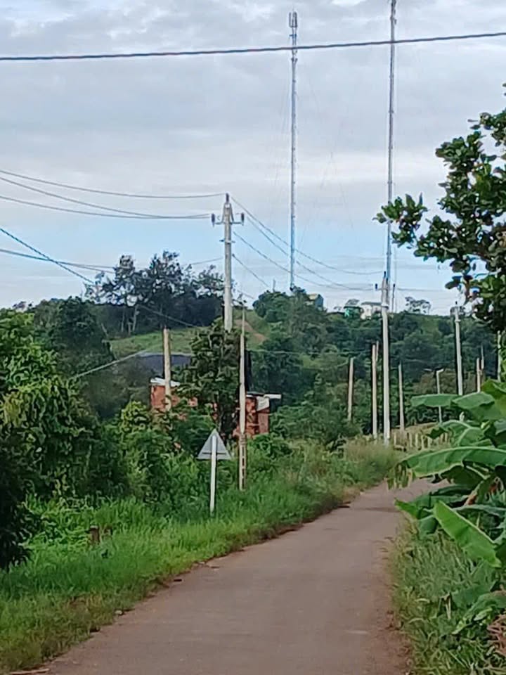 Đất Farm 1,53 ha tại Xã Ea Siên, Thị Xã Buôn Hồ - Giá chỉ 5.508 tỷ, cơ hội đầu tư tuyệt vời!