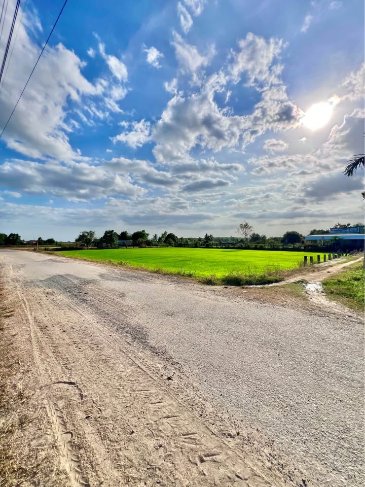 Đất nền 3600m² tại Hàm Chính, Huyện Hàm Thuận Bắc - Giá bán gấp chỉ 1.55 tỷ!