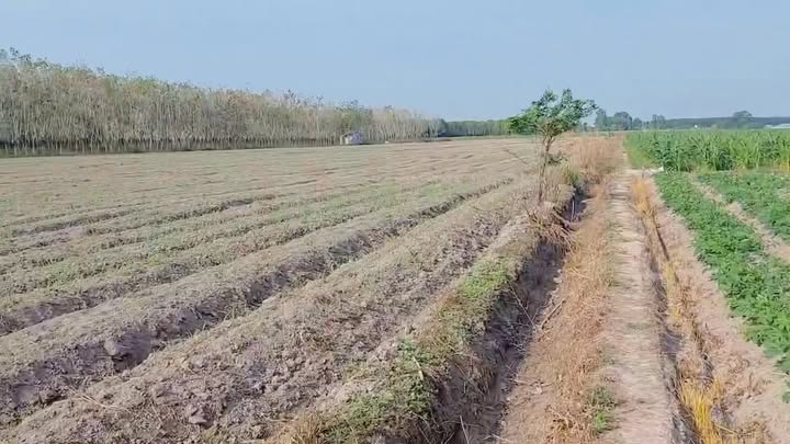 Đất trống 20.000m² tại Bến Củi, Dương Minh Châu chỉ 2 tỷ - Cơ hội vàng cho đầu tư!