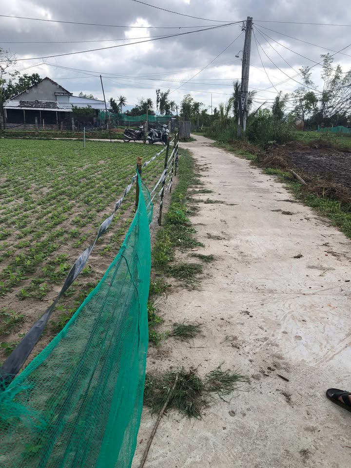 Bán đất thổ cư thôn Thuận Nhứt, xã Bình Thuận, 265m² - Giá ưu đãi chỉ 100 triệu!