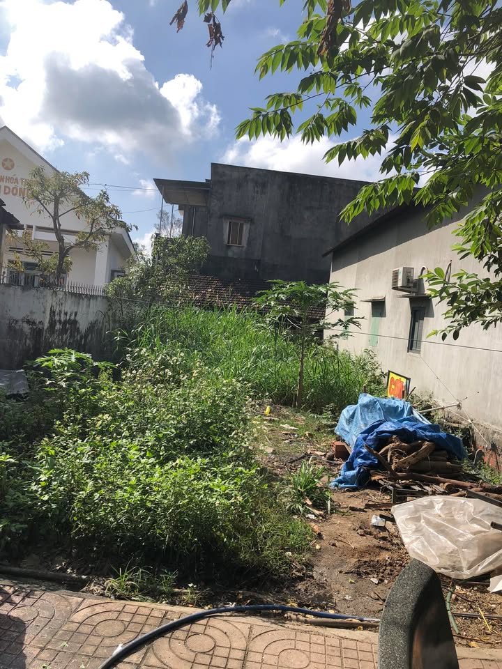 Đất mặt tiền Quốc lộ 19b thôn An Dõng Tây Sơn 100m² giá 1 tỷ - Cơ hội đầu tư tuyệt vời!