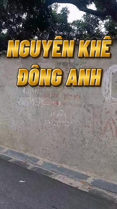 Đất nền Nguyên Khê 56m² giá 4 tỷ - Vị trí đắc địa gần chợ và trường học!