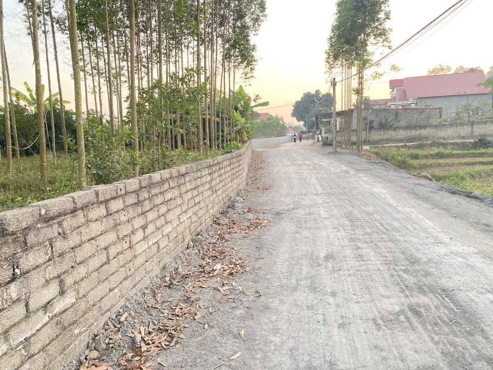 Đất nền chính chủ tại Thôn Cầu Đá, Lạng Giang 100m² - Giá chỉ 600 triệu!