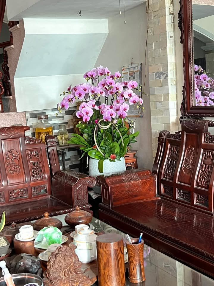 Đất nền xã Đức Giang, Bắc Giang 100m² - Gần khu đô thị, tiện ích đầy đủ!