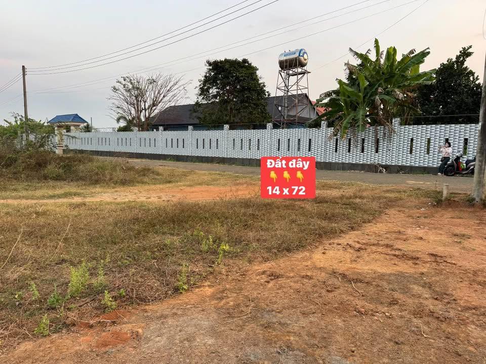 Đất nền 1000m² đường nhựa 84, P. Tam Phú, TP. Thủ Đức - Giá chỉ 2 tỷ!