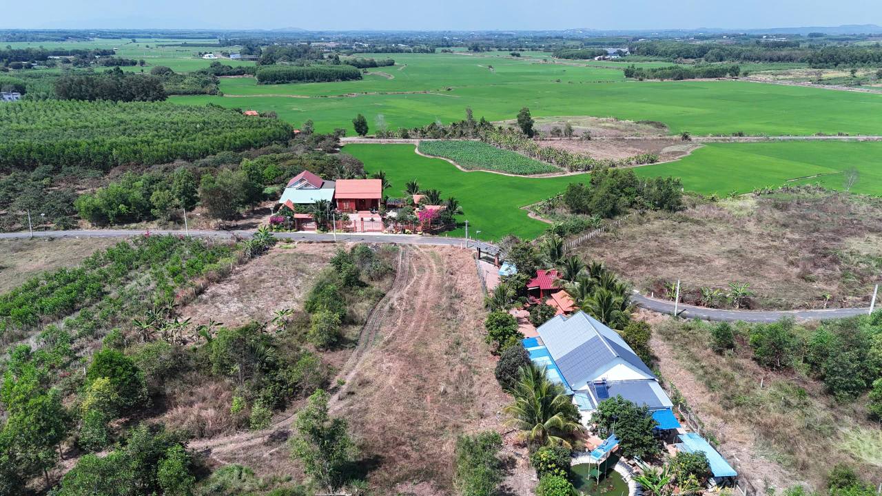 Đất nền 574m² tại Ấp Tân Trung, Huyện Xuyên Mộc - View ruộng xanh mát, chỉ 960 triệu!
