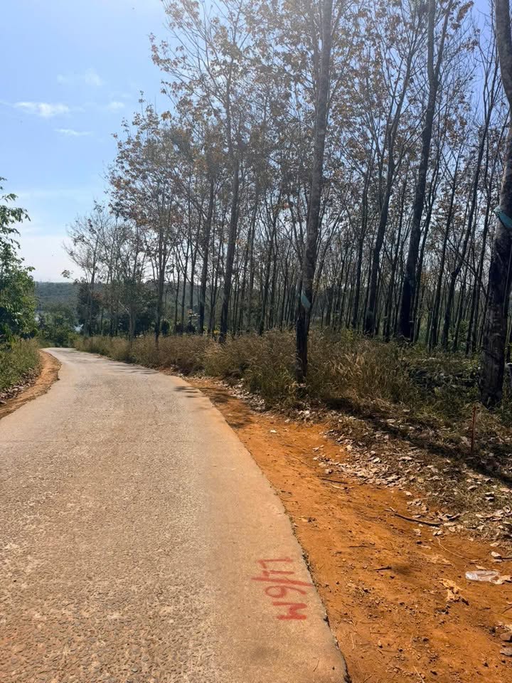 Đất nền Xã Kiến Thành, Huyện Đắk R'Lấp 210m² giá 369 triệu - Tiềm năng đầu tư lớn!