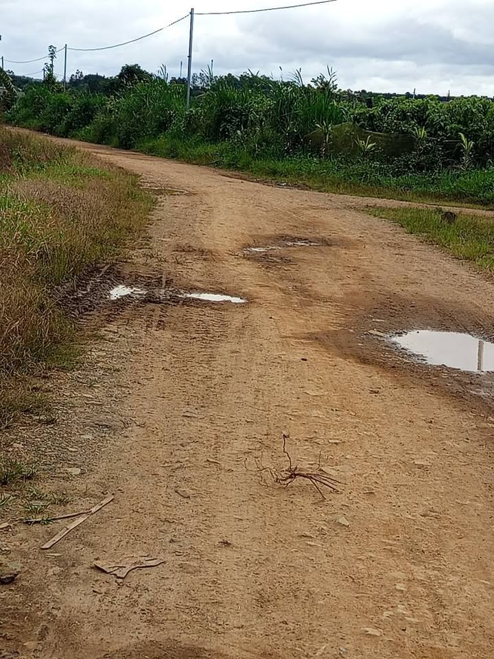 Đất Farm tại Xã Gia Hiệp, Huyện Di Linh, 2,4ha - Giá chỉ 2,16 tỷ VND!