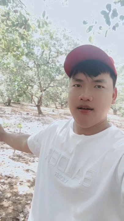 Đất vườn điều 1,7ha tại xã Đoàn Kết, huyện Bù Đăng - Giá chỉ 17 tỷ!