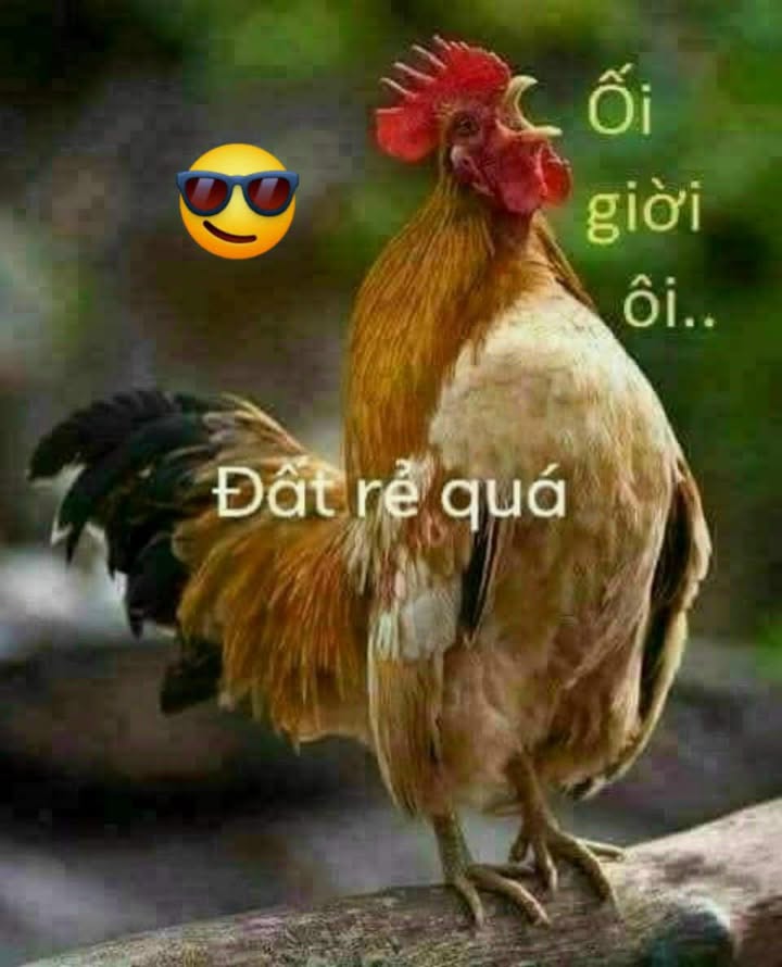 Đất Vĩnh Lộc A 500m² giá 7.9 tỷ - Cơ hội đầu tư hấp dẫn!