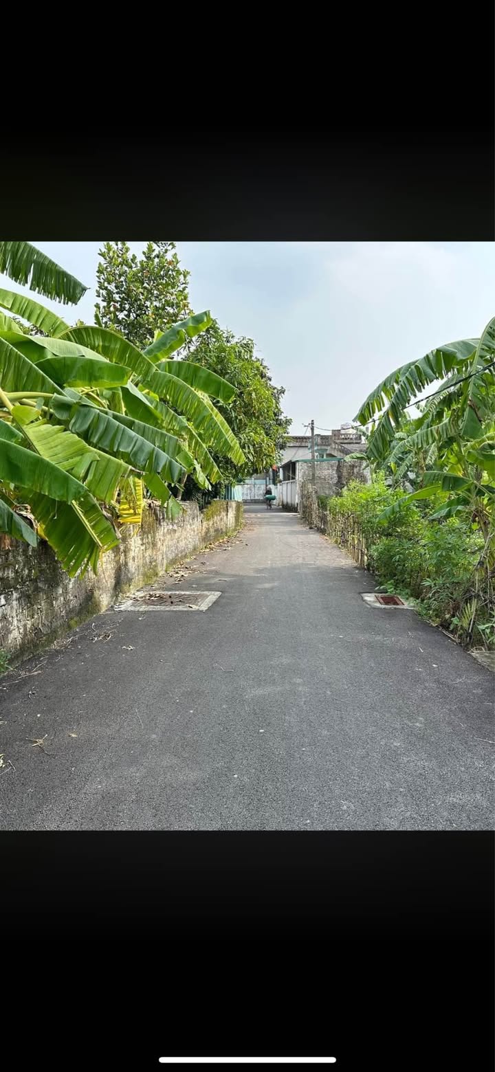 Đất liền kề Phố La Phù, Ninh Khang 240m² giá 3 tỷ - Mặt tiền rộng, vị trí đắc địa!