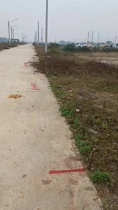 Đất nền khu Hàm Rồng, xã Quỳnh Lưu, 126m² giá 1.2 tỷ - Cơ hội đầu tư tốt!