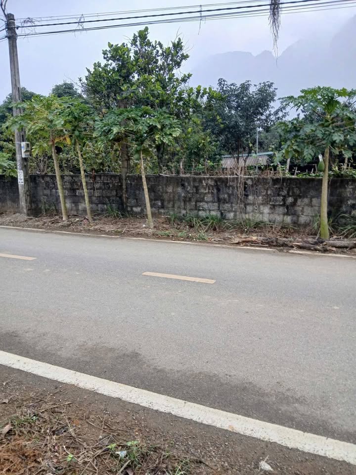 Lô đất mặt đường Đồng Bầu, Ninh Bình 118m² - Pháp lý rõ ràng, giá thỏa thuận!