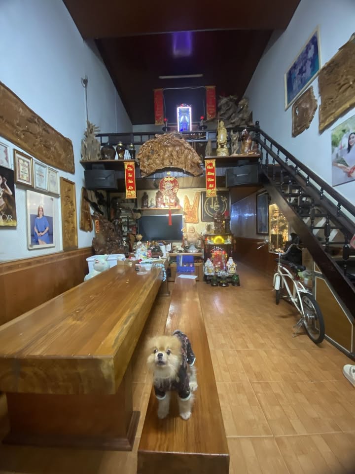 Nhà mặt tiền Núi Thành, Đà Nẵng 155m² giá 19 tỷ - Kinh doanh sầm uất ngay góc Phan Đăng Lưu!