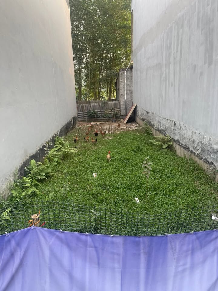 Đất thổ cư Bản Đồng Thép, Yên Thế, 100m² - Giá chỉ 800 triệu!