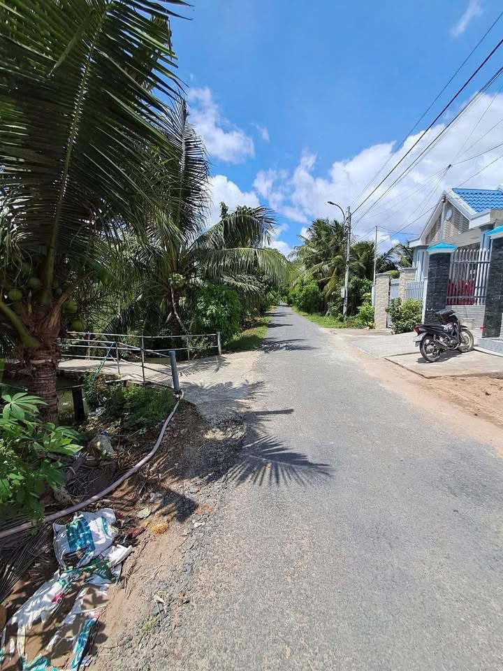 Đất nền Ấp Bình Phong, Tân Mỹ Chánh 100m² giá 830 triệu - Đường ô tô 7 chỗ vào tận nơi!