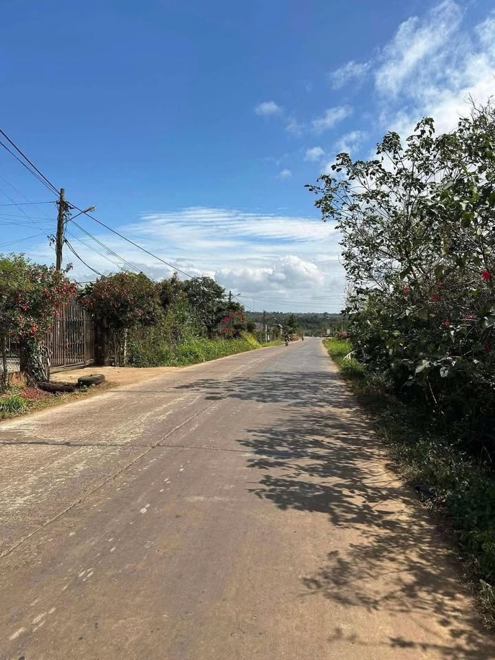 Mặt tiền Quốc lộ 29 Buôn Hồ 275m² giá 1.699 tỷ - Đầu tư sinh lời ngay!