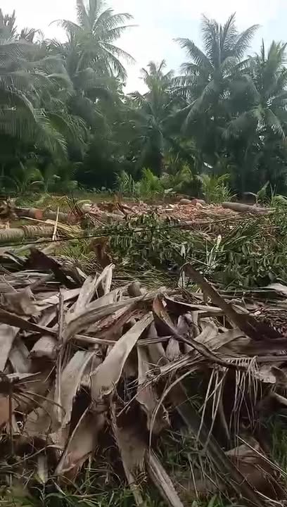 Đất nền Cửu Lợi Nam, 90m² chỉ 400 triệu - Đường bê tông ô tô vào tận nơi!