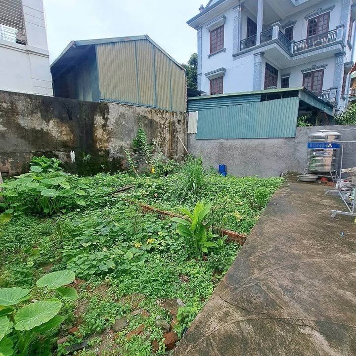 Đất nền đẹp Kiêu Kỵ, Gia Lâm 55m² giá chỉ 4 tỷ - Sổ đỏ giao ngay!