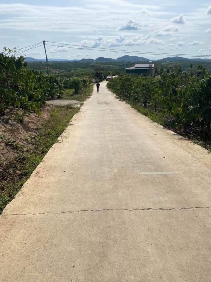 Đất đầu tư mặt tiền bê tông Tân Hà, Lâm Hà 5744m² giá 6.888 tỷ - Tiềm năng sinh lời rõ ràng!