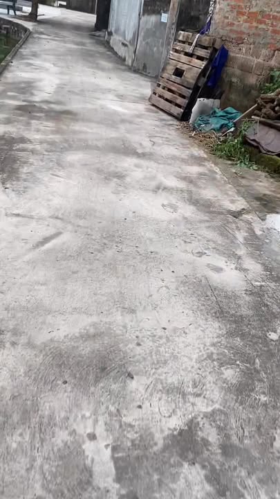 Đất nền An Quí, Quỳnh Phụ 115m² giá chỉ 4.x tỷ - Cơ hội vàng đầu tư!