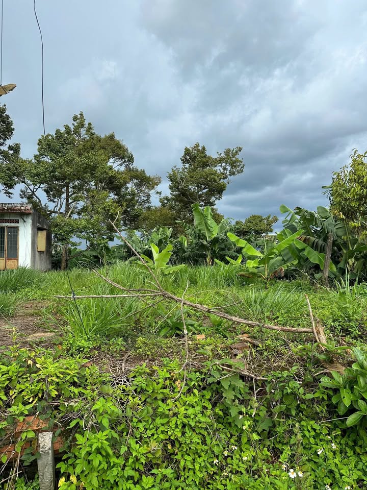 Đất nền Lộc Đức 400m² giá 890 triệu - Cơ hội đầu tư tuyệt vời!