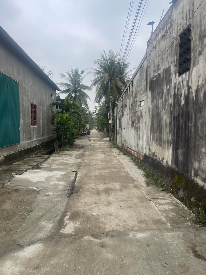 Đất nền Xã Minh Khôi, Huyện Nông Cống 150m² giá chỉ 700 triệu - Đường thông tứ phía!