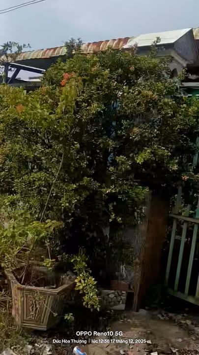 Đất thổ cư mặt tiền đường bê tông xã Đức Hòa Thượng 6720m² giá 6.2 tỷ - Cơ hội đầu tư sinh lời!