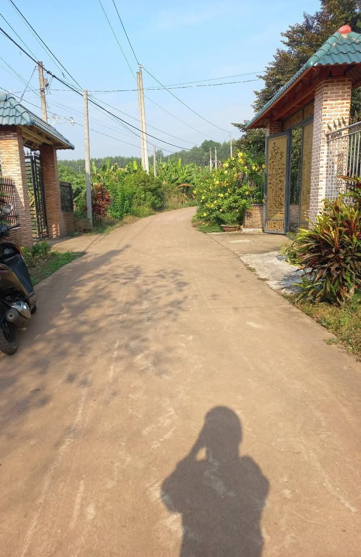 Đất nền Tân An Đồng Nai 290m² giá 530 triệu - Cơ hội đầu tư tuyệt vời!