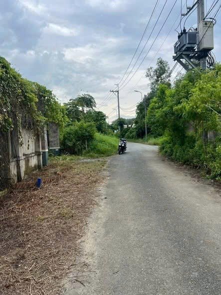 Đất nền Tân Thạnh Tây, Củ Chi 150m² giá 1.75 tỷ - Mặt tiền đường nhựa thuận lợi!