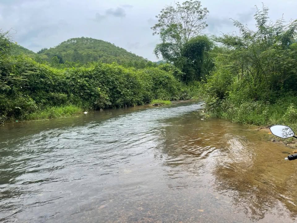 Đất rừng sản xuất 12ha tại Văn Miếu, Phú Thọ - Cơ hội đầu tư hấp dẫn!