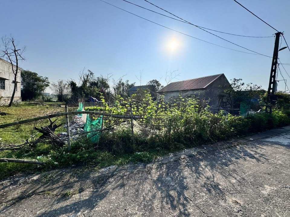 Đất thổ cư Kỳ Khang 140m² giá 900 triệu - Cơ hội đầu tư tuyệt vời!