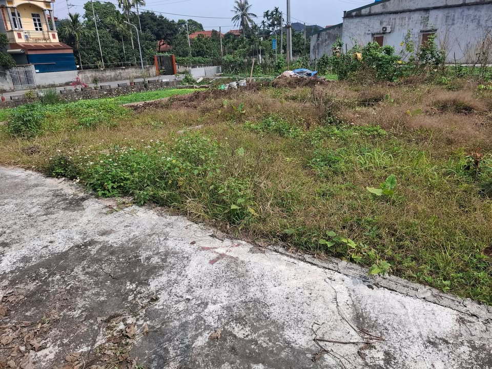 Lô đất 78m² tại TDP Vân Kênh, Duy Tiên chỉ 800 triệu - Đầu tư sinh lời!