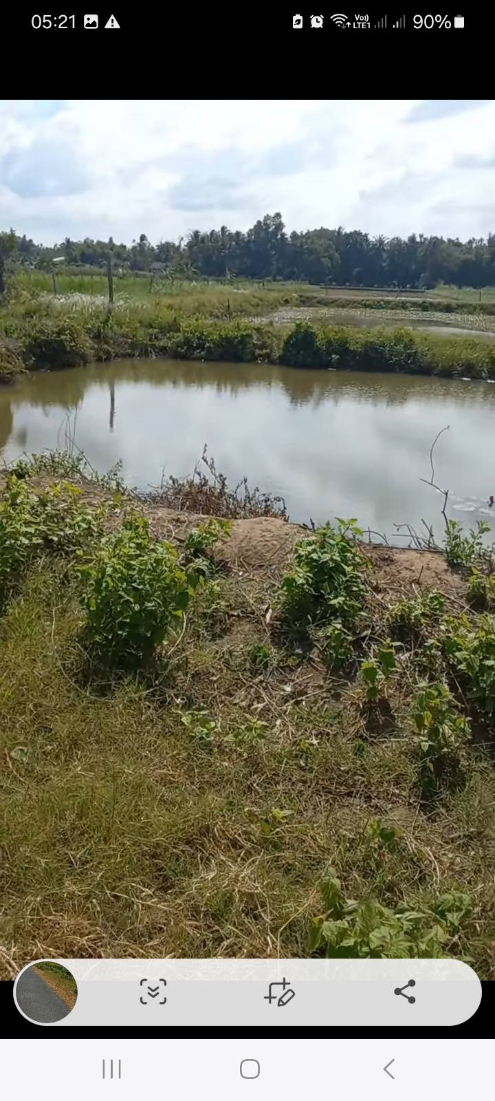 Đất nền ấp 14 xã Long Hữu Vĩnh Long 2800m² giá 600 triệu - Đầu tư sinh lời!