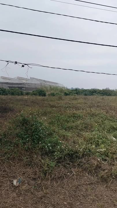 Đất đấu giá Tân Trung Tân Yên 100m² giá 1.23 tỷ - Cơ hội đầu tư sinh lời!