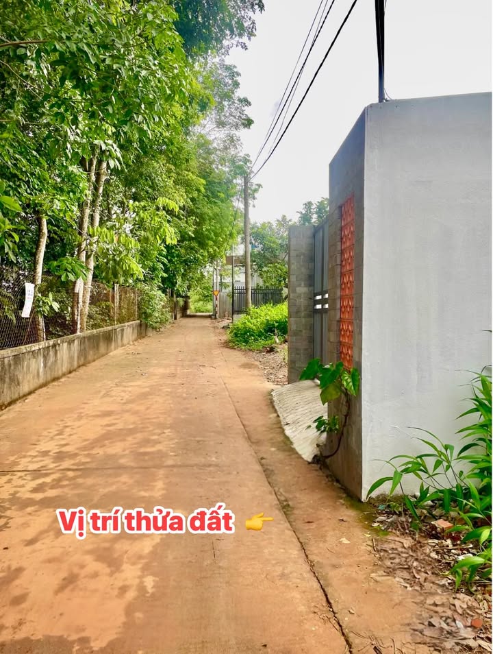 Đất nền Gia Kiệm, Đồng Nai 183m² giá 700 triệu - Đầu tư sinh lời ngay!