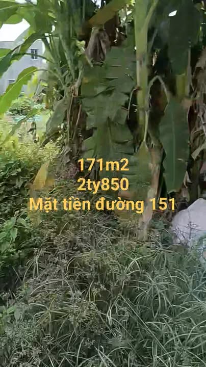 Đất nền Mặt tiền đường 151, Củ Chi 171m² giá 2.85 tỷ - Tiềm năng đầu tư vượt trội!