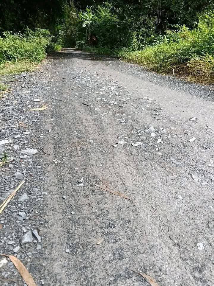 Nhà phố Trà Cú 175m² giá 420 triệu - Chính chủ cần bán gấp!