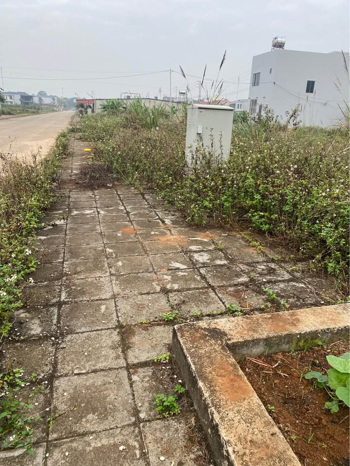 Lô đất 117m² tại Đông Sơn, Bỉm Sơn - Giá thỏa thuận, cơ hội đầu tư tốt!