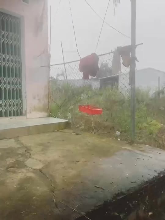 Nhà cấp 4 xã Phước Nghĩa 180m² giá chỉ 800 triệu - Bán gấp trước Tết!