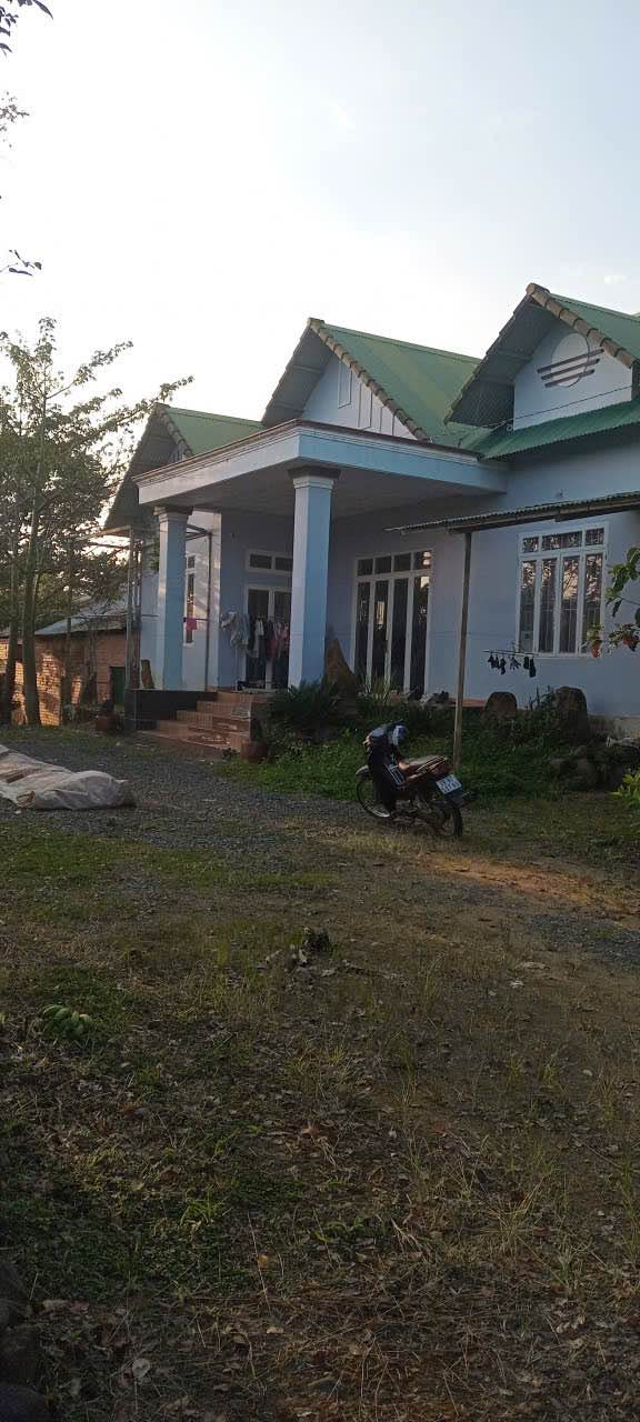 Đất nền 1.000m² xã Tân Lạc, huyện Bảo Lâm giá 6 tỷ - View đẹp, ao cá thư giãn!